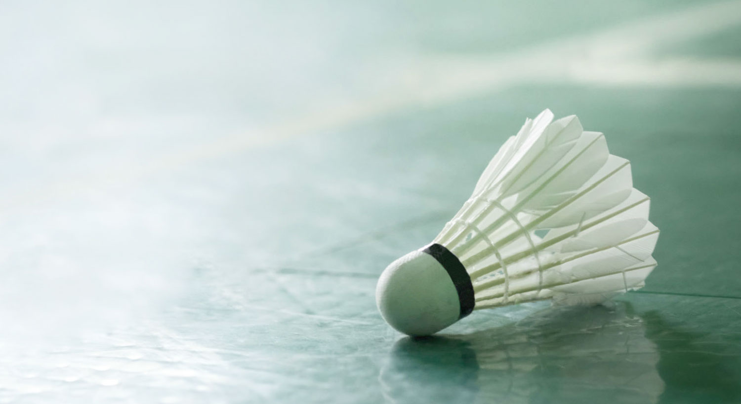 Mandarin Badminton Club